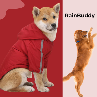 RainBuddy